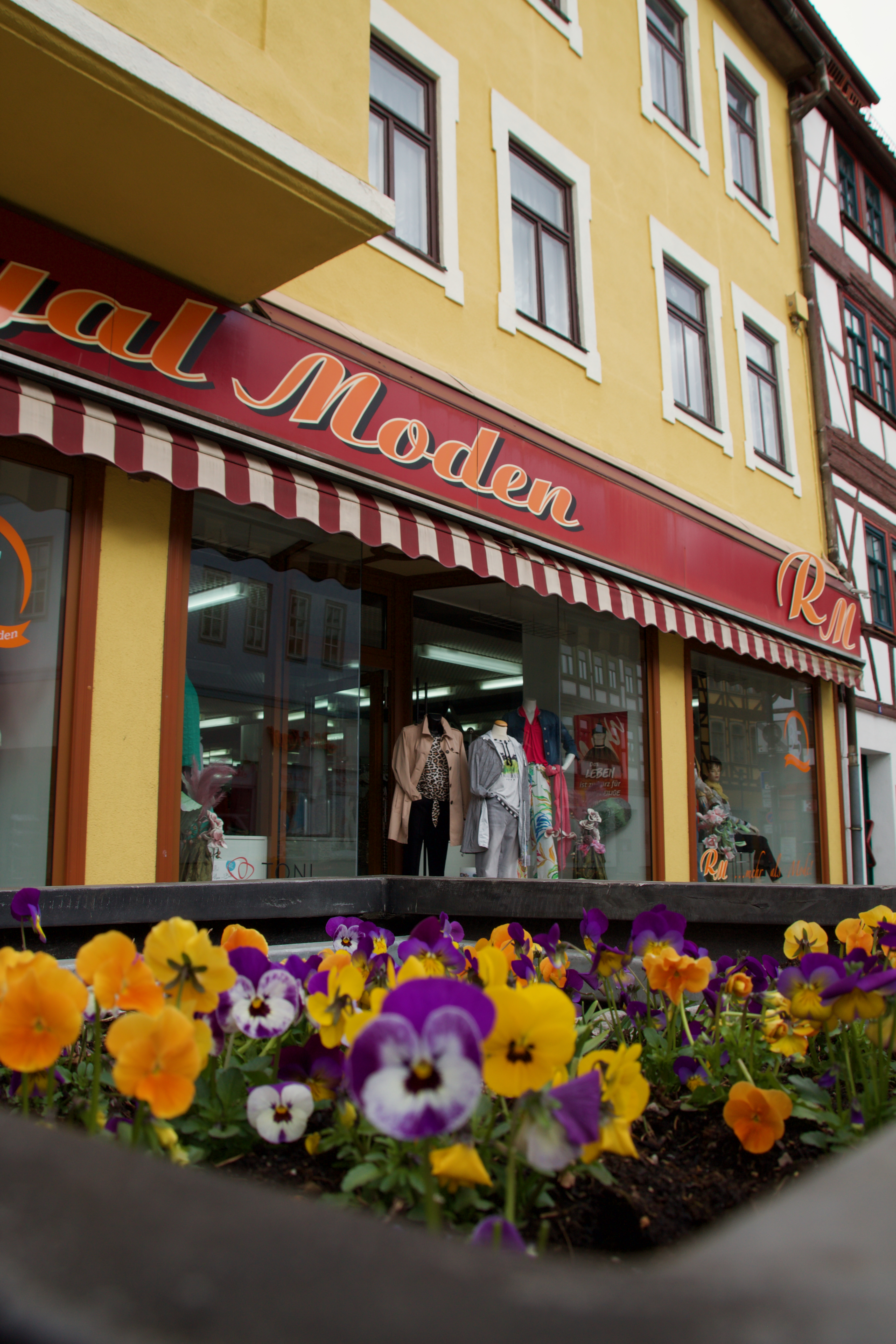 Schaufenster Royal Moden mit Frühlingsblumen